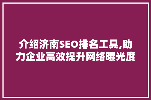 介绍济南SEO排名工具,助力企业高效提升网络曝光度