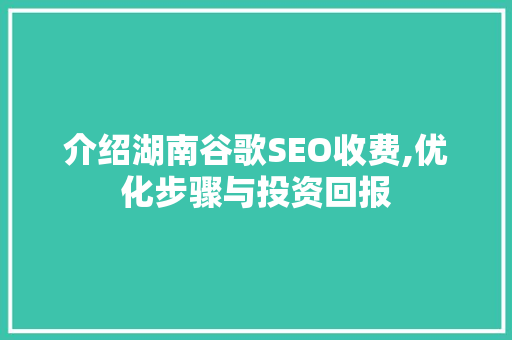介绍湖南谷歌SEO收费,优化步骤与投资回报