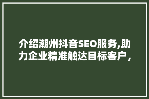 介绍潮州抖音SEO服务,助力企业精准触达目标客户，抢占市场先机