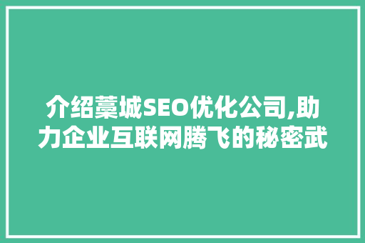 介绍藁城SEO优化公司,助力企业互联网腾飞的秘密武器