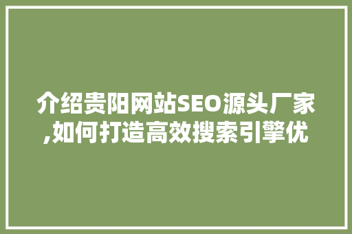 介绍贵阳网站SEO源头厂家,如何打造高效搜索引擎优化步骤