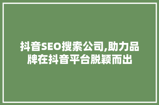 抖音SEO搜索公司,助力品牌在抖音平台脱颖而出