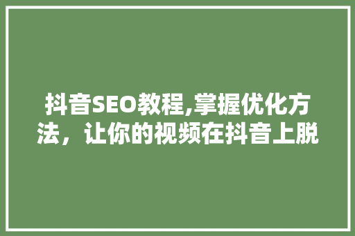 抖音SEO教程,掌握优化方法，让你的视频在抖音上脱颖而出