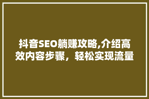 抖音SEO躺赚攻略,介绍高效内容步骤，轻松实现流量变现