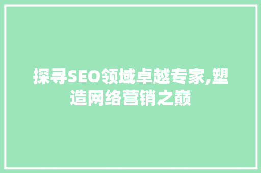 探寻SEO领域卓越专家,塑造网络营销之巅