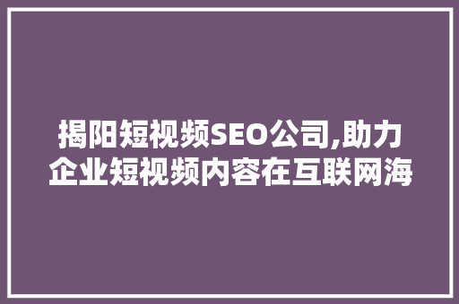揭阳短视频SEO公司,助力企业短视频内容在互联网海洋中乘风破浪
