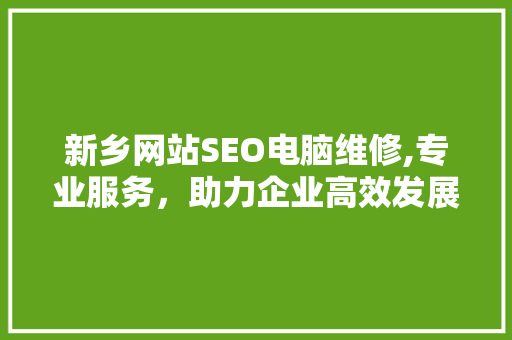 新乡网站SEO电脑维修,专业服务，助力企业高效发展