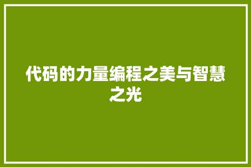 代码的力量编程之美与智慧之光