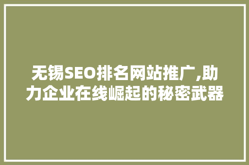 无锡SEO排名网站推广,助力企业在线崛起的秘密武器