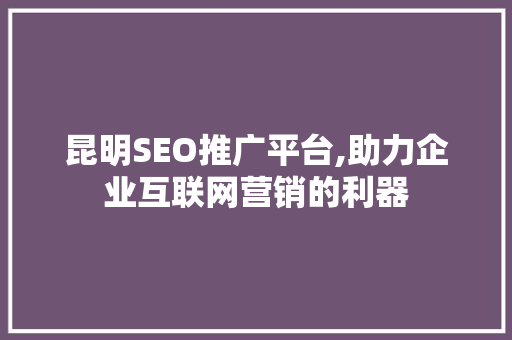昆明SEO推广平台,助力企业互联网营销的利器