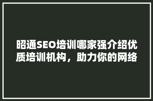 昭通SEO培训哪家强介绍优质培训机构，助力你的网络营销之路
