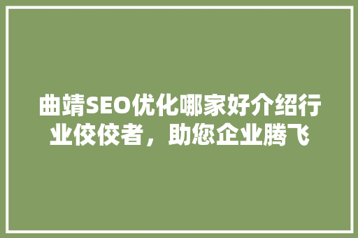 曲靖SEO优化哪家好介绍行业佼佼者，助您企业腾飞