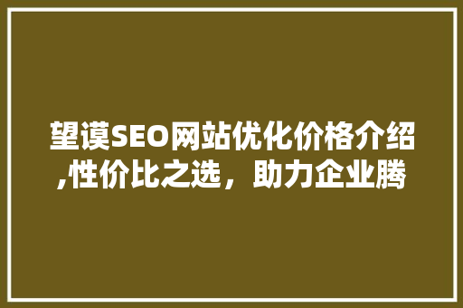 望谟SEO网站优化价格介绍,性价比之选，助力企业腾飞