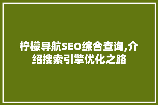 柠檬导航SEO综合查询,介绍搜索引擎优化之路