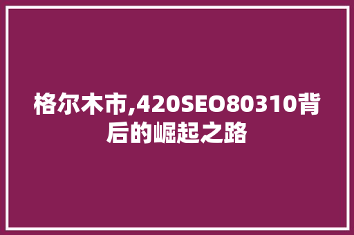 格尔木市,420SEO80310背后的崛起之路