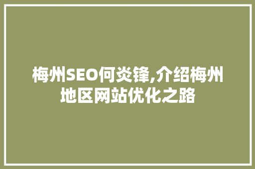 梅州SEO何炎锋,介绍梅州地区网站优化之路