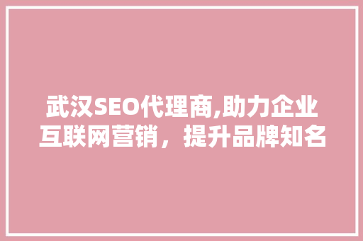 武汉SEO代理商,助力企业互联网营销，提升品牌知名度