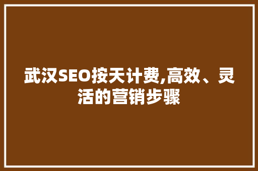 武汉SEO按天计费,高效、灵活的营销步骤