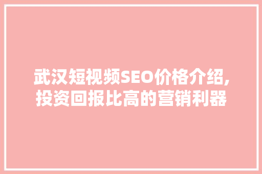 武汉短视频SEO价格介绍,投资回报比高的营销利器