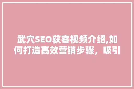 武穴SEO获客视频介绍,如何打造高效营销步骤，吸引潜在客户