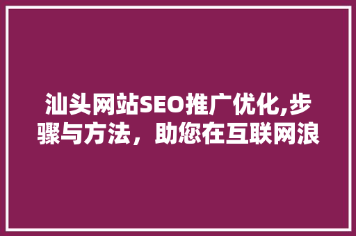 汕头网站SEO推广优化,步骤与方法，助您在互联网浪潮中乘风破浪