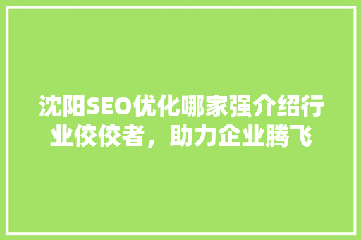 沈阳SEO优化哪家强介绍行业佼佼者，助力企业腾飞
