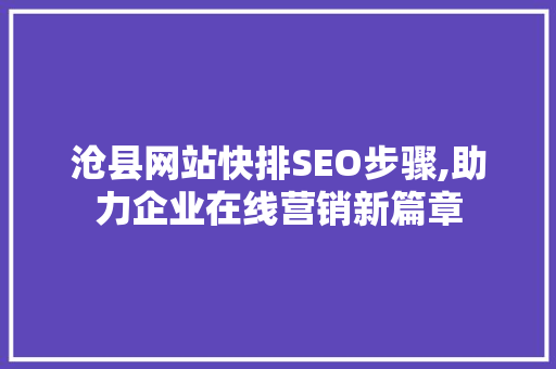 沧县网站快排SEO步骤,助力企业在线营销新篇章
