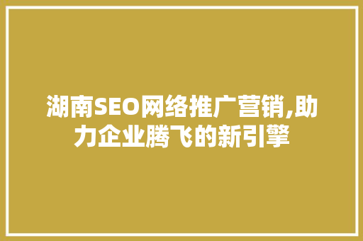 湖南SEO网络推广营销,助力企业腾飞的新引擎