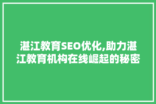 湛江教育SEO优化,助力湛江教育机构在线崛起的秘密武器