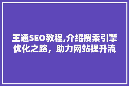 王通SEO教程,介绍搜索引擎优化之路，助力网站提升流量与排名