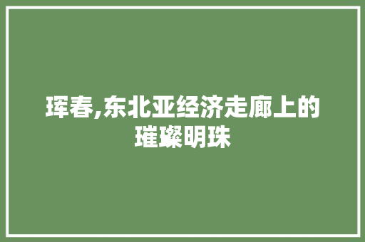 珲春,东北亚经济走廊上的璀璨明珠