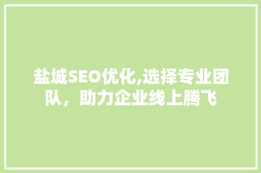 盐城SEO优化,选择专业团队，助力企业线上腾飞