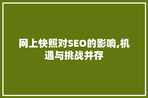 网上快照对SEO的影响,机遇与挑战并存