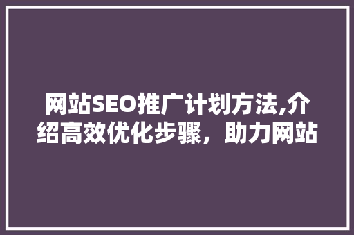 网站SEO推广计划方法,介绍高效优化步骤，助力网站流量翻倍