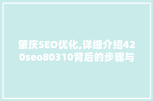肇庆SEO优化,详细介绍420seo80310背后的步骤与方法