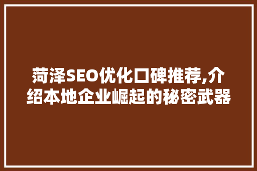 菏泽SEO优化口碑推荐,介绍本地企业崛起的秘密武器