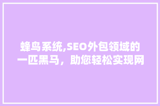 蜂鸟系统,SEO外包领域的一匹黑马，助您轻松实现网站优化
