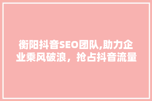 衡阳抖音SEO团队,助力企业乘风破浪，抢占抖音流量高地