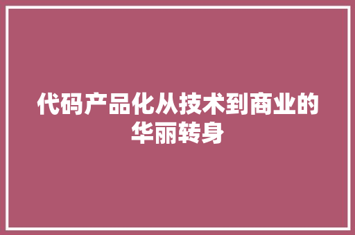 代码产品化从技术到商业的华丽转身  第1张
