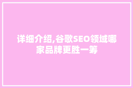 详细介绍,谷歌SEO领域哪家品牌更胜一筹