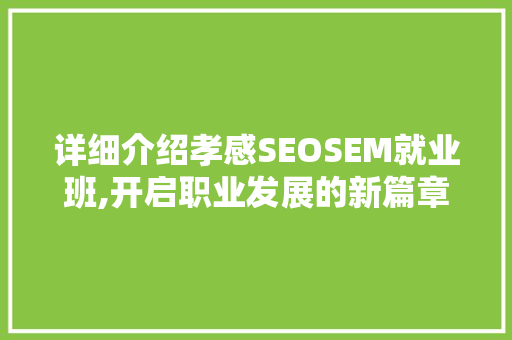 详细介绍孝感SEOSEM就业班,开启职业发展的新篇章