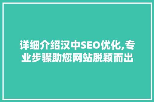 详细介绍汉中SEO优化,专业步骤助您网站脱颖而出
