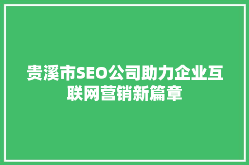 贵溪市SEO公司助力企业互联网营销新篇章