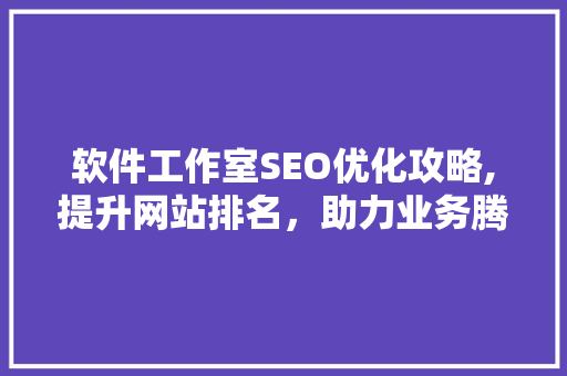 软件工作室SEO优化攻略,提升网站排名，助力业务腾飞