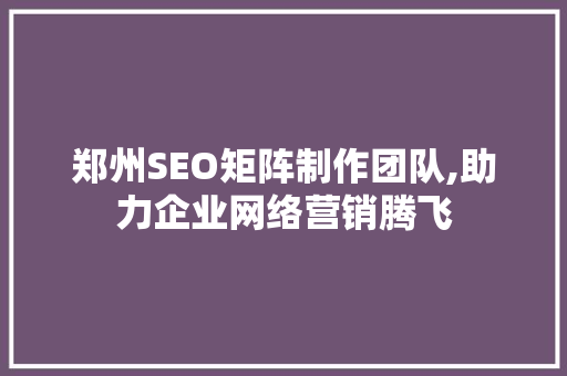 郑州SEO矩阵制作团队,助力企业网络营销腾飞
