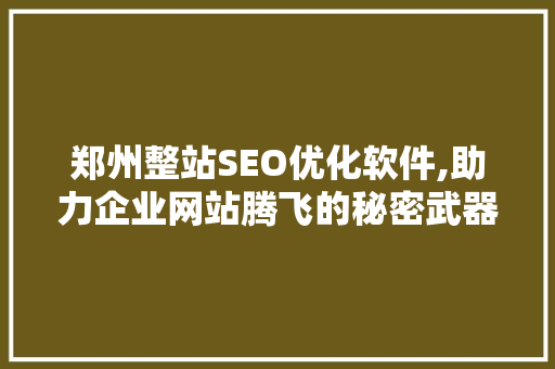 郑州整站SEO优化软件,助力企业网站腾飞的秘密武器