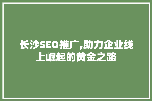 长沙SEO推广,助力企业线上崛起的黄金之路
