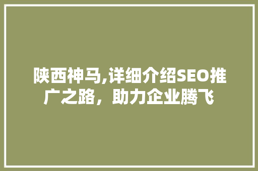 陕西神马,详细介绍SEO推广之路，助力企业腾飞