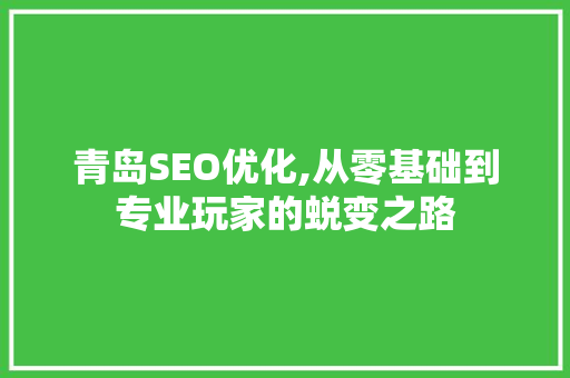 青岛SEO优化,从零基础到专业玩家的蜕变之路