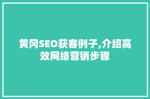 黄冈SEO获客例子,介绍高效网络营销步骤